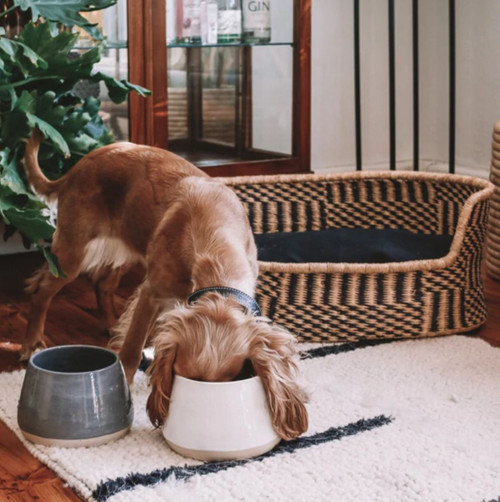 White Ceramic Long Eared Bowl