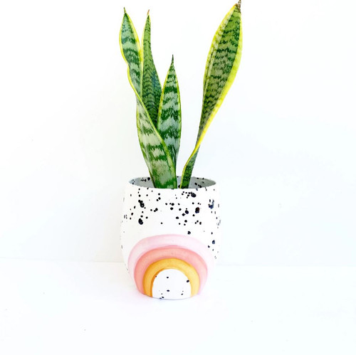 Berry Rainbow + Ink Spots Planter