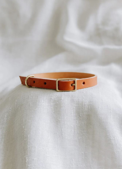 Caramel Leather Dog Collar