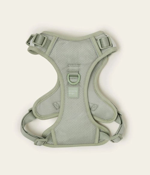 Matcha Harness