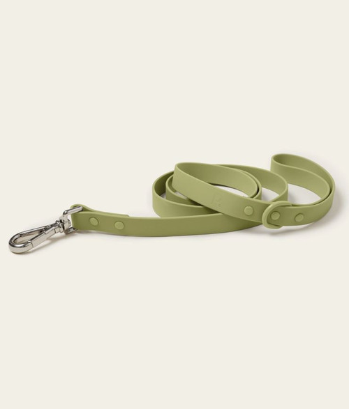 Matcha Classic Leash