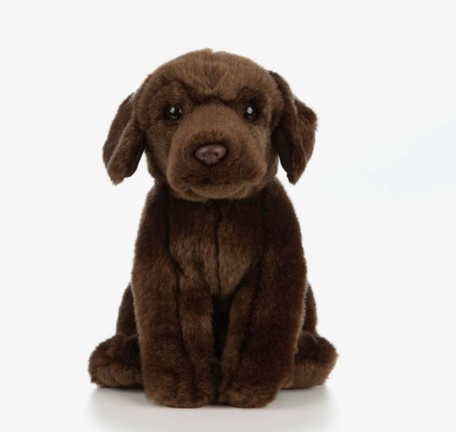 Chocolate Labrador Plush Toy