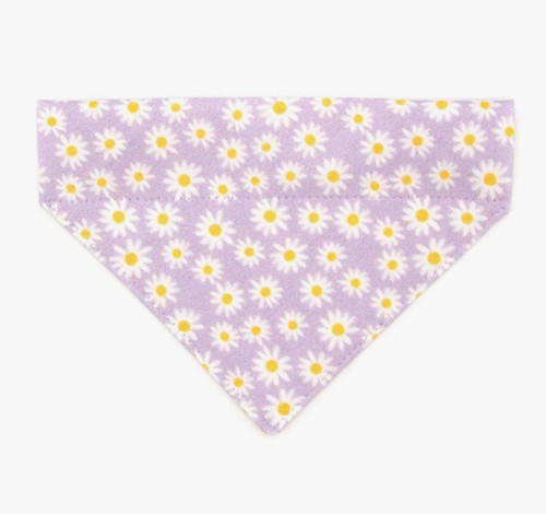 Purple Daisies Cat Bandana