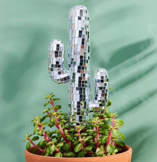 Disco Cactus Plant Stake