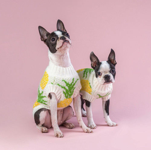 Piña Colada Dog Sweater