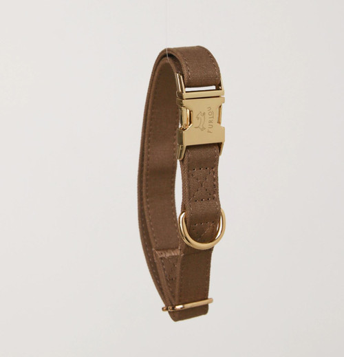 Brown Dog Collar