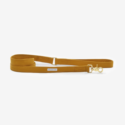 Mustard Standard Leash - 1" Mustard Standard Leash - 1"