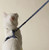 Blue Rainbow Cat Harness + Leash