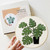 Monstera Embroidery Kit