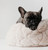 TAART Camel Pet Bed