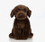 Chocolate Labrador Plush Toy