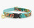 Tropicalia Cat Collar