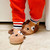 Toddler Puppy Slippers - 2-4y