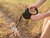 Retractable Leash + Bag Dispenser