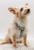 Hunter Sky Classic Harness