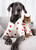 Love Bug Dog Onesie