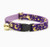 Purple Moonlight Cat Collar