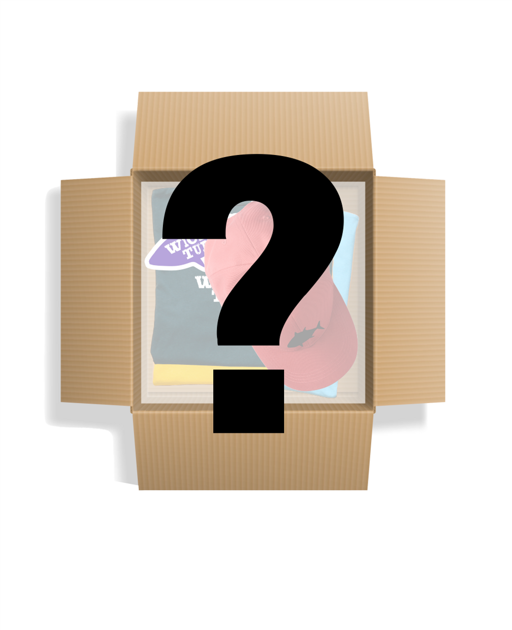 Small  NWT Mystery Box  Mystery, Mystery box