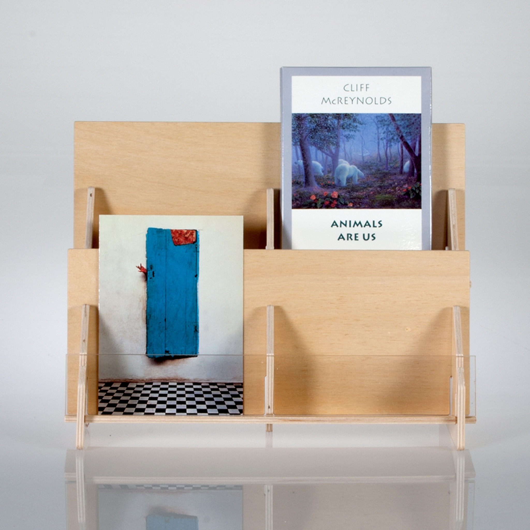 Multi Level Greeting Card Display Shelf