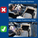 EZ-Xtend Dog Car Restraint System - In Use