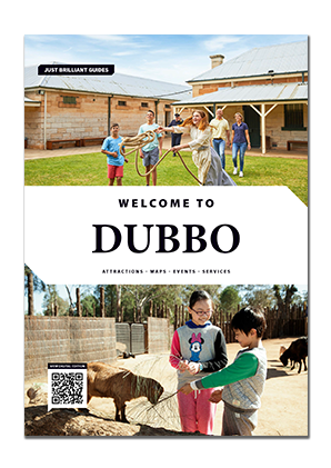 06-163-22-dubbo-aif-cover.png