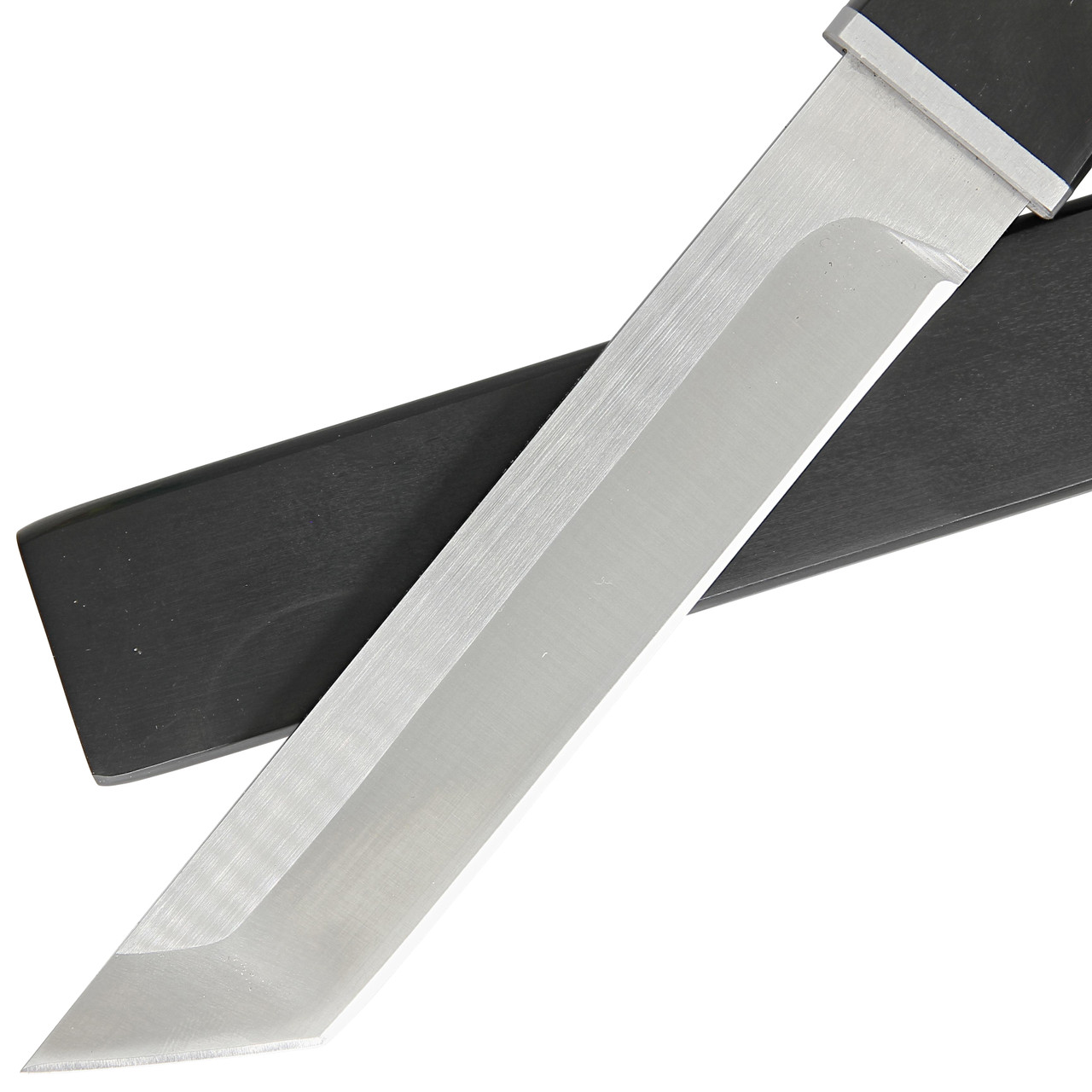 Asuka Full Tang Tanto - Compact and Sharp Samurai Blade