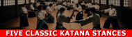The Five Classic Katana Stances: Mastering the Foundation for battle ready Katana