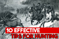 10 Tips for Effective Hunting