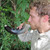 Bottoms Up All Natural Drinking Horn
