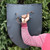 Black Medieval Blank Customizable War Shield