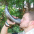 Drinking Horn With Vegvisir Desgin Drinking Horn With Vegvisir Desgin