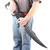 Great Spartan Warrior Foam Battle Sword FREE Frog Combo