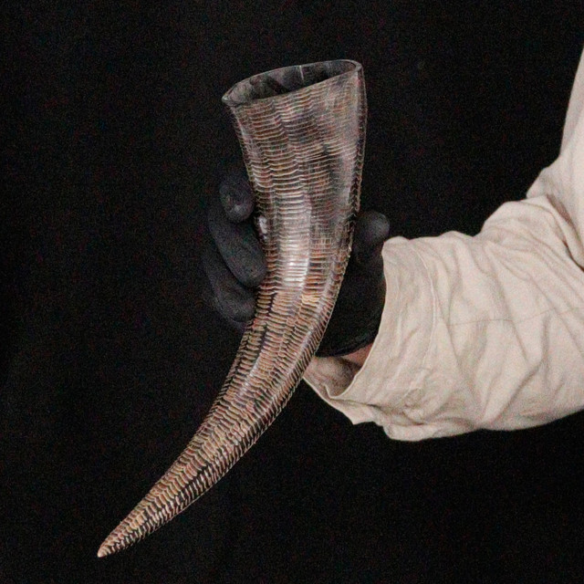 Buffalo Black Drinking Horn – Compact and Rugged Norse Style Vessel