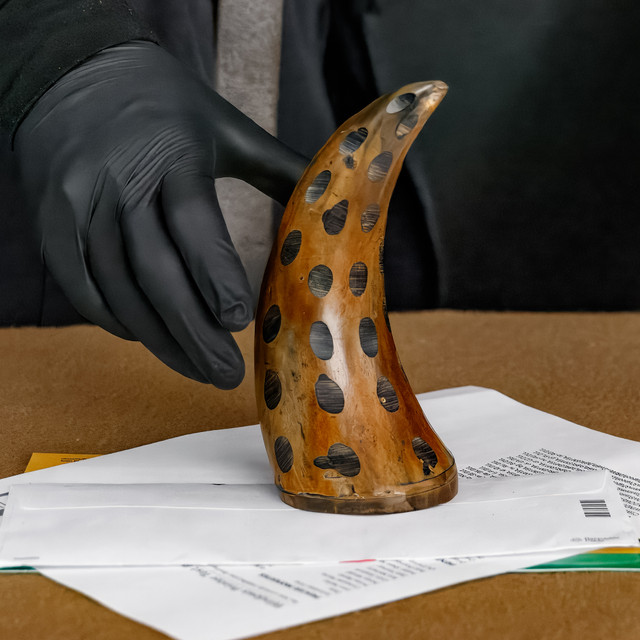 Distressed Concave Genuine Cow Horn Paperweight