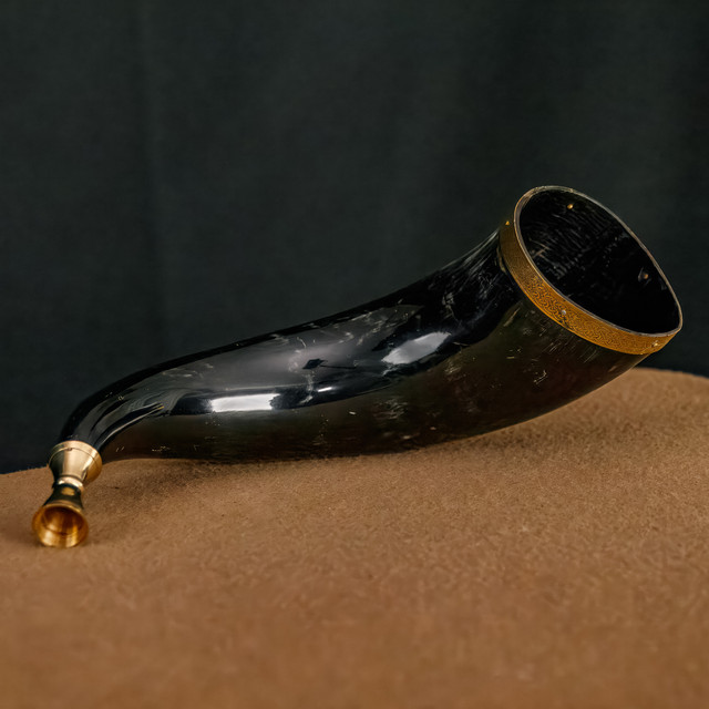 Cow Horn with Brass Rim Trumpet