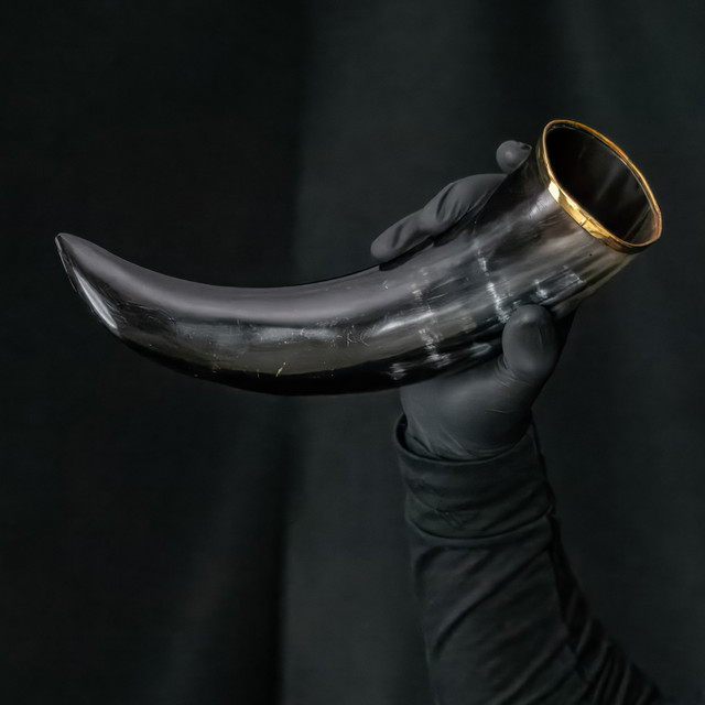 The Hooded Raven ™ Medieval Festival Viking Pure Brass Rim Drinking Horn Canvas Bag Included