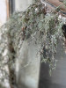 Garland - Weeping Cedar 6', Snow