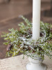 Candle Ring - Prickly Pine Snow 6"