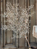 Spray - Little Luna Leaves 29"