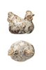 Stoneware Hen Shaped Salt & Pepper Shakers (Set of 2)