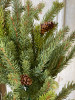 White Spruce Wreath | 22" |