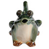 Thaddeus Toad, The Frog Watering Pitcher