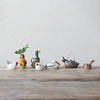Donald, The Hand-painted Duck Pitcher