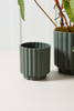 Green Carmen Pot (2 Sizes)