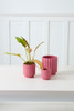 Pink Carmen Pot (2 Sizes)