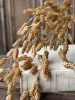Hops Hanging Cluster, Beige