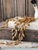 Hops Hanging Cluster, Beige