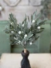 Winter Court Mistletoe Bundle