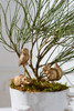 Scurry Plant Sticks (Set of 3)