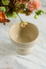 Thorn Compote (2 Sizes)